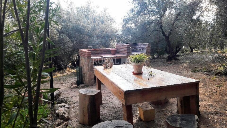 Zona de barbacoa de Casa rural en Periana (Málaga)-3339