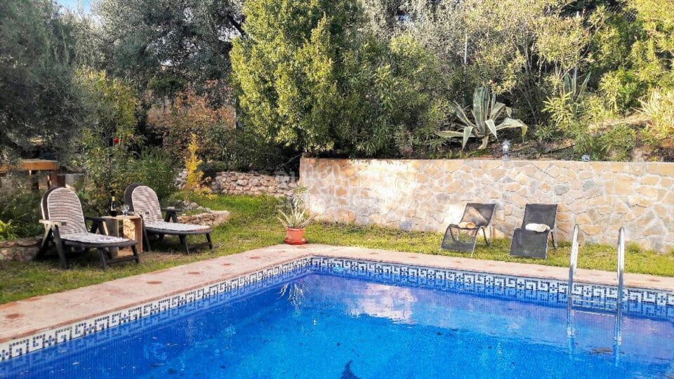 Piscina y jardín de Casa rural en Periana (Málaga)-3339