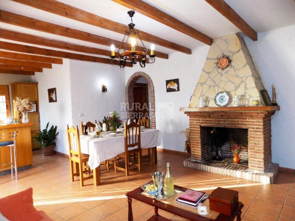 Salón con chimenea de Casa rural en Periana (Málaga)-3339