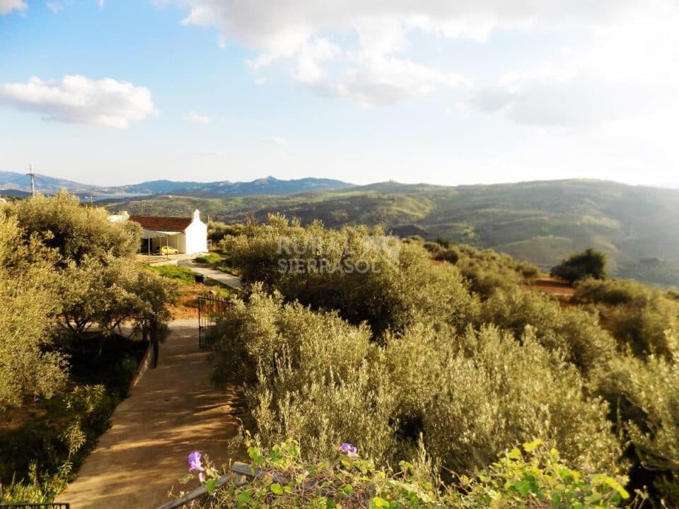 Vistas desde Casa rural en Periana (Málaga)-3339