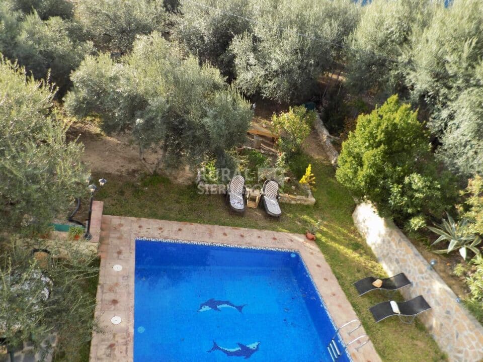 Piscina y jardín de Casa rural en Periana (Málaga)-3339