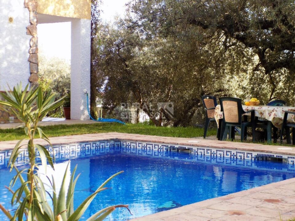 Piscina y mesa en jardín de Casa rural en Periana (Málaga)-3339