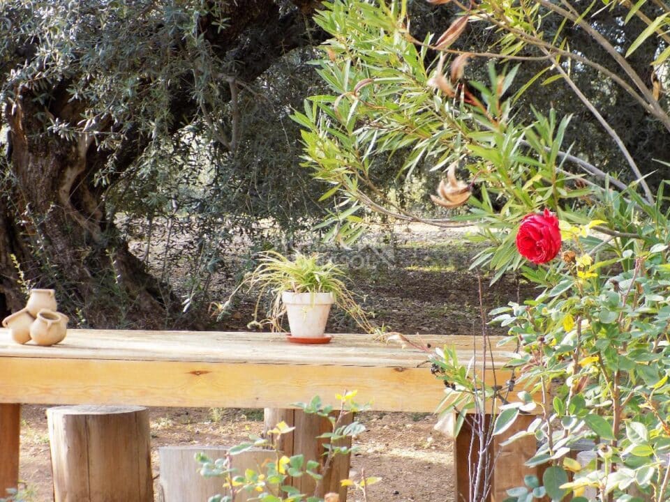 Mesa en zona de barbacoa de Casa rural en Periana (Málaga)-3339