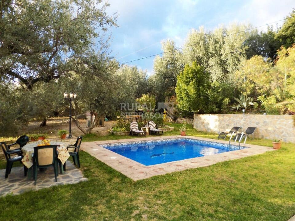 Piscina y jardín de Casa rural en Periana (Málaga)-3339