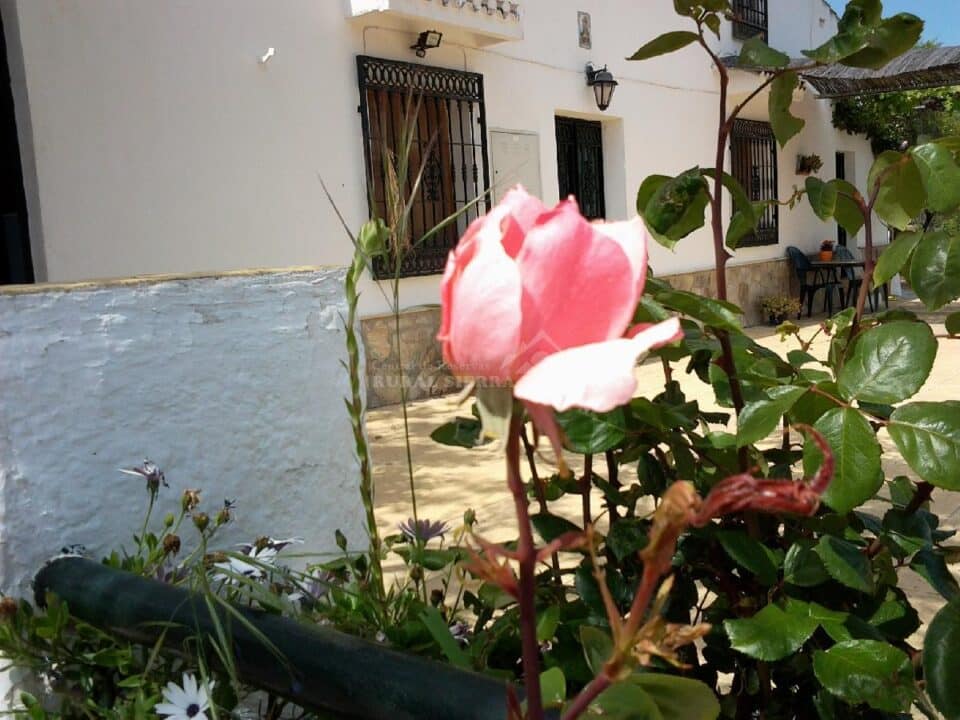 Preciosa Casa Rural en Loja, con piscina y aire acondicionado - Imagen 36
