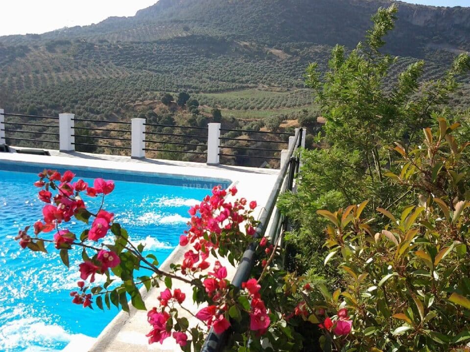 Preciosa Casa Rural en Loja, con piscina y aire acondicionado - Imagen 47