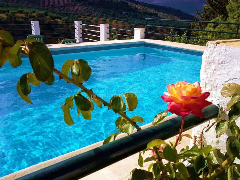 Preciosa Casa Rural en Loja, con piscina y aire acondicionado - Imagen 49