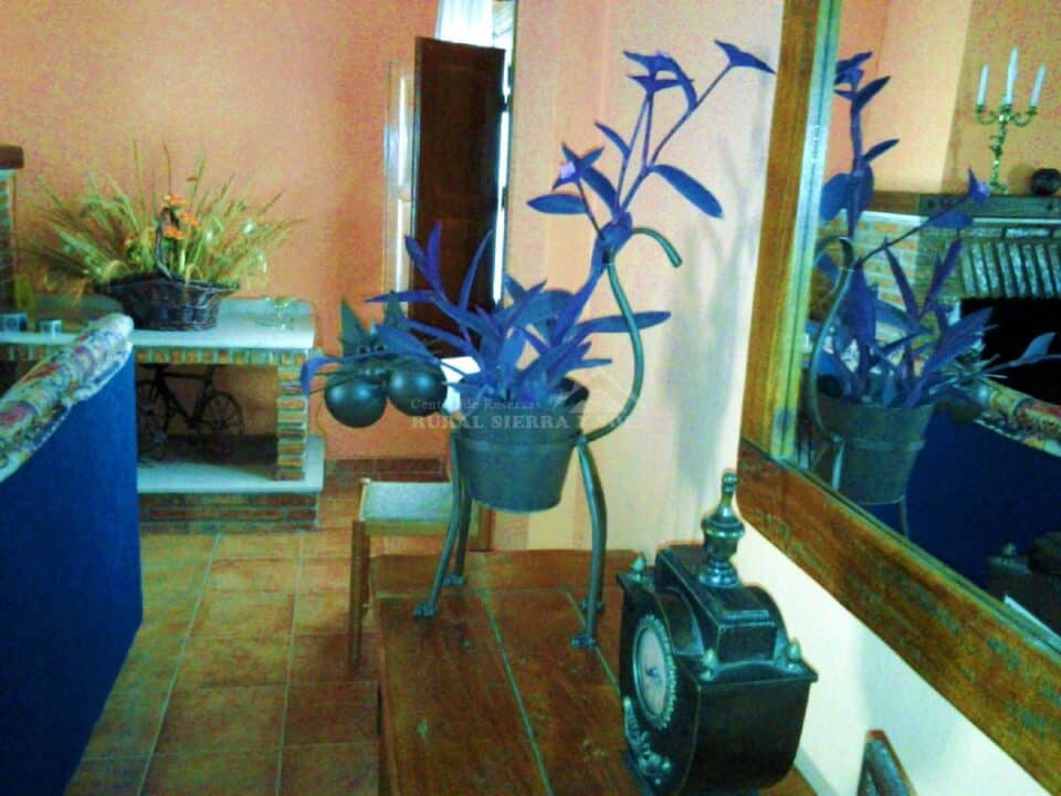 Preciosa Casa Rural en Loja, con piscina y aire acondicionado - Imagen 53