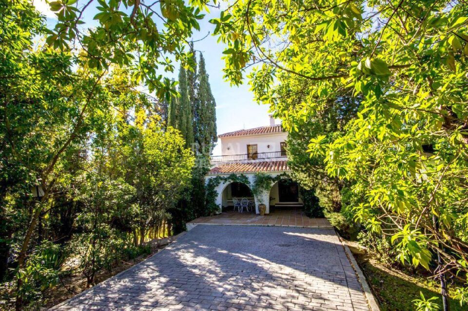 Jardín y porche de Casa rural en Alcaucín (Málaga)-3418