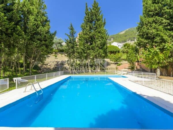 Piscina de Casa rural en Alcaucín (Málaga)-3418