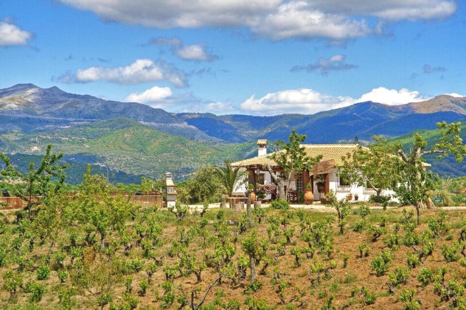 Conjunto de dos Casas Rurales en Júzcar con piscina, chimenea y barbacoa - Imagen 4