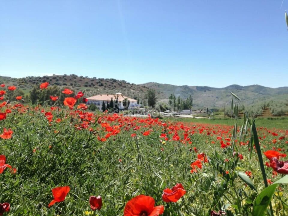 Precioso Hotel Rural en Colmenar, con bonitas vistas al campo - Imagen 35