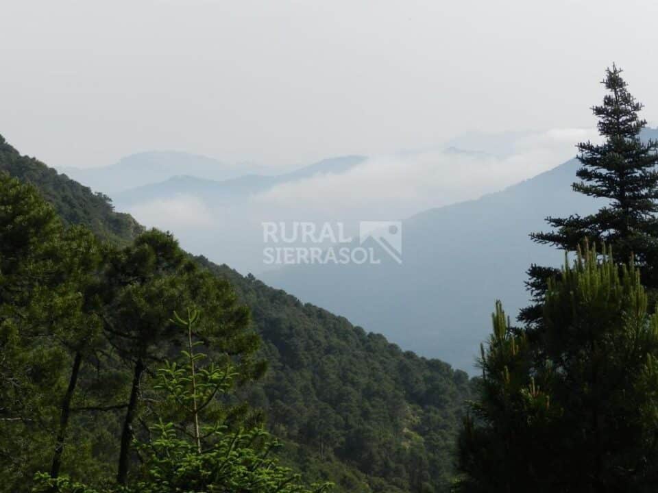Apartamento Rural en Genalguacil, con estufa de leña - Imagen 35