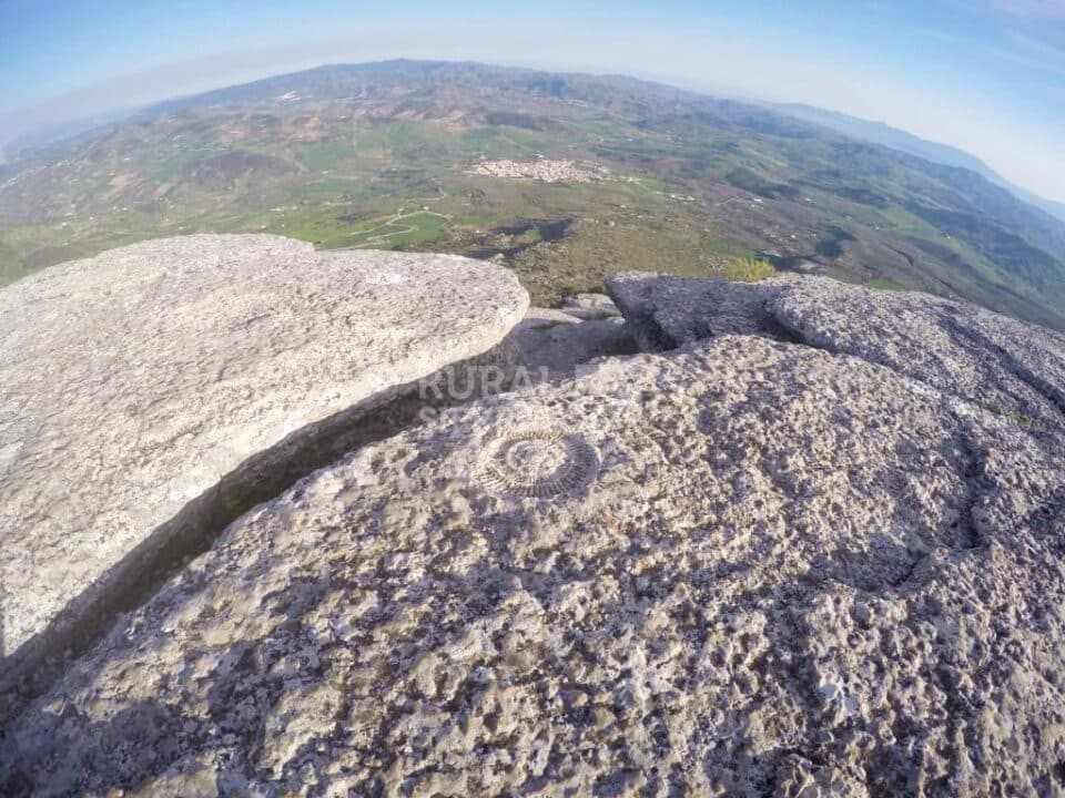Acogedora Casa Rural al Sur del Torcal de Antequera con preciosos jardines y piscina - Imagen 74