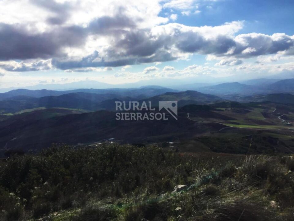 Acogedora Casa Rural al Sur del Torcal de Antequera con preciosos jardines y piscina - Imagen 76