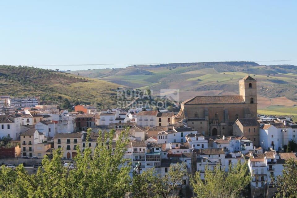 Acogedor Hostal en Alhama de Granada - Imagen 58