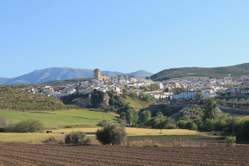 Acogedor Hostal en Alhama de Granada - Imagen 59