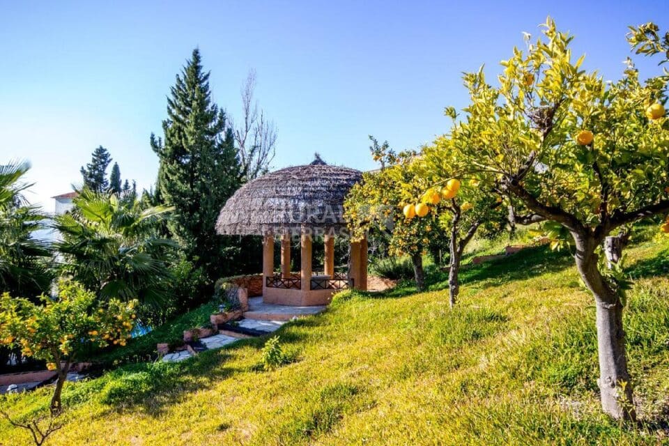 Jardín de Casa rural en Alcaucín (Málaga)-3674