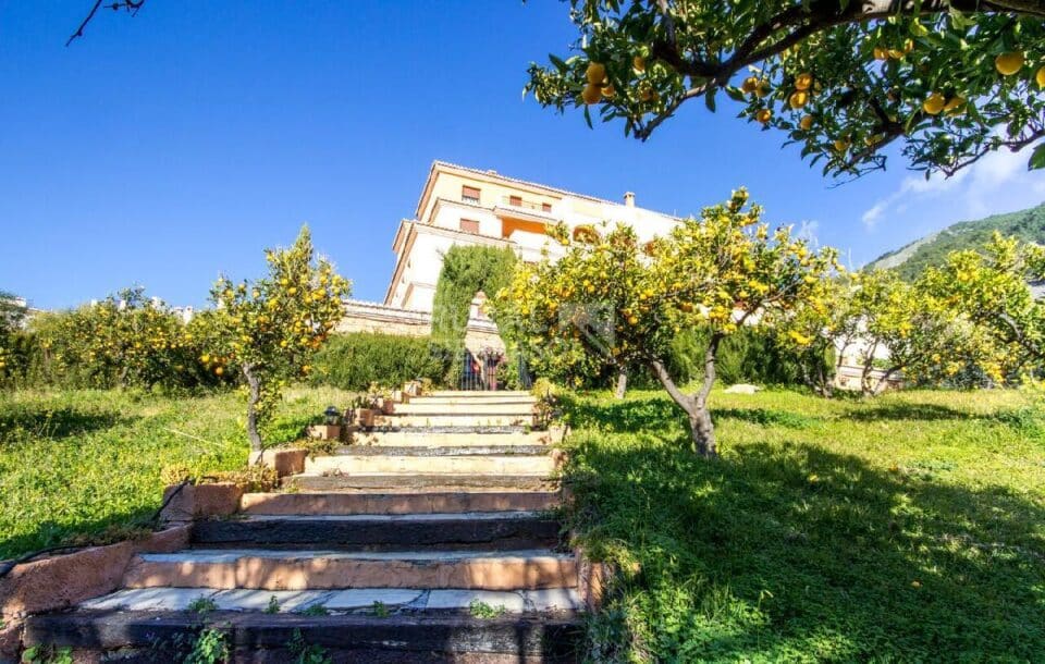 Jardín de Casa rural en Alcaucín (Málaga)-3674