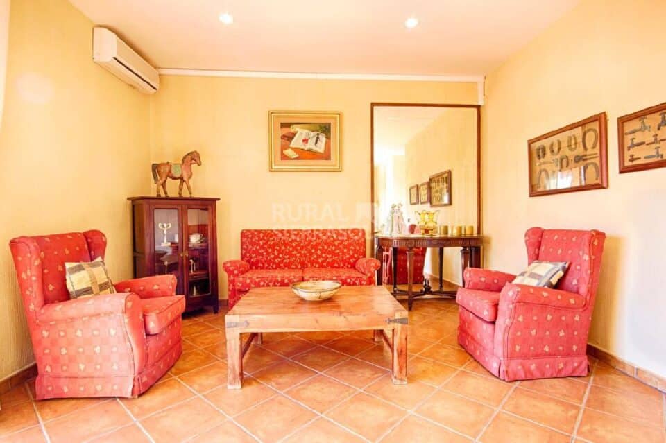 Salón con sofás de Casa rural en Alcaucín (Málaga)-3674