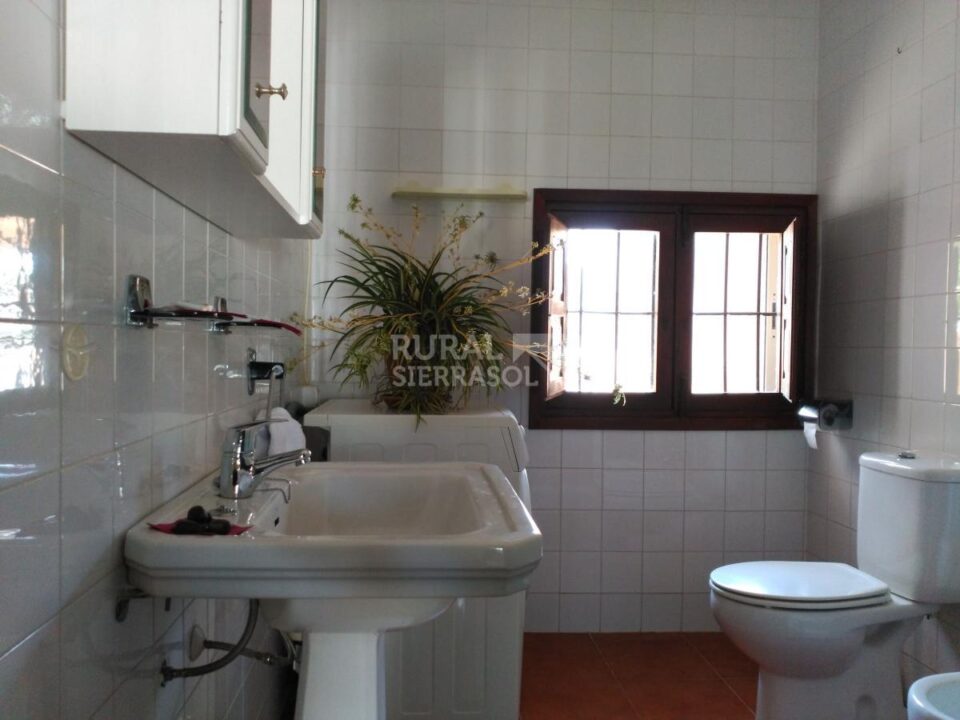 Baño de Casa rural en Alcaucín (Málaga)-3698