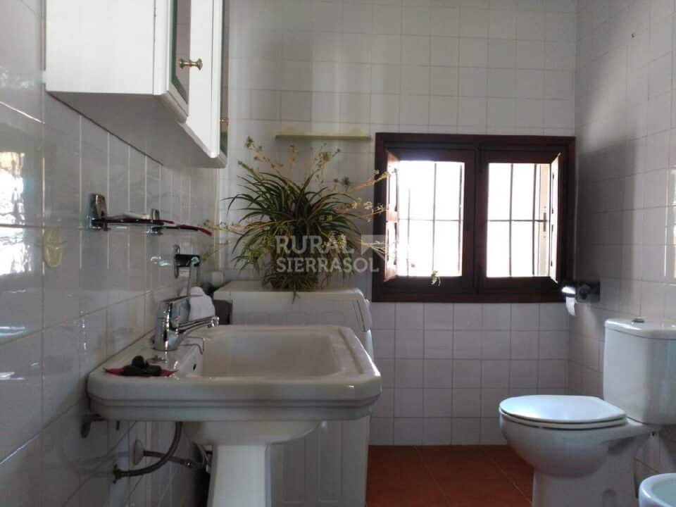 Baño en Casa rural en Alcaucín (Málaga)-3698