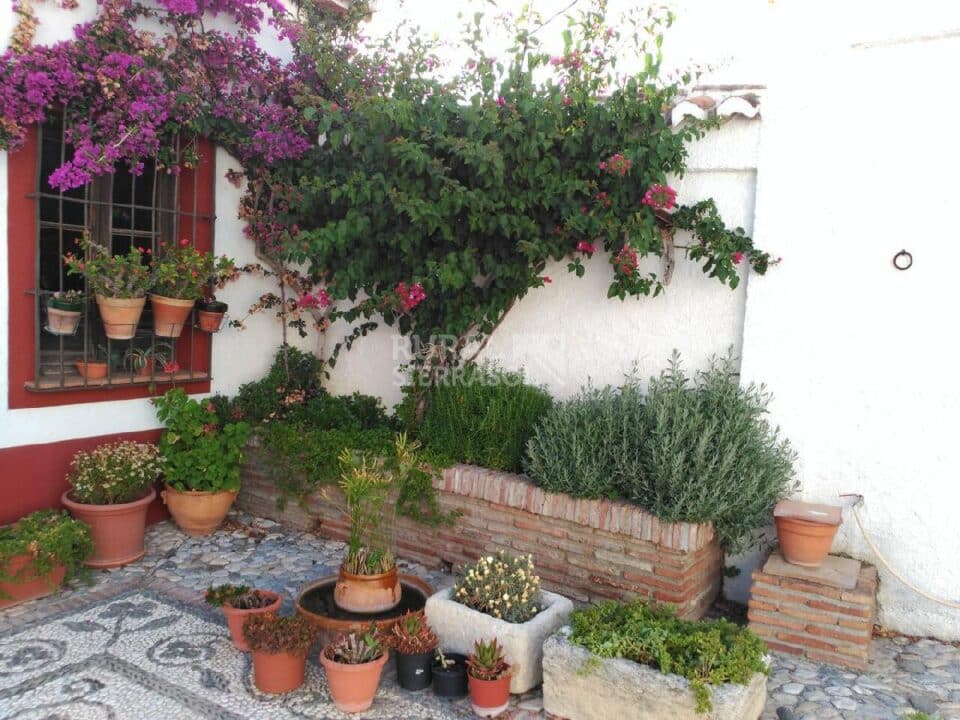 Jardín de Casa rural en Alcaucín (Málaga)-3699