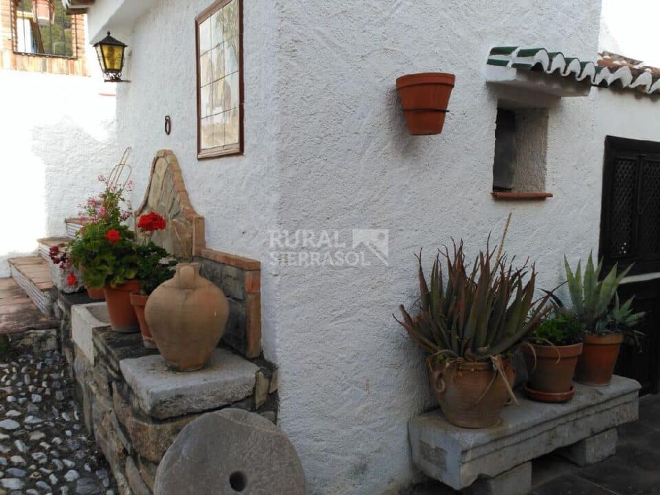Macetas en patio empedrado de Casa rural en Alcaucín (Málaga)-3699