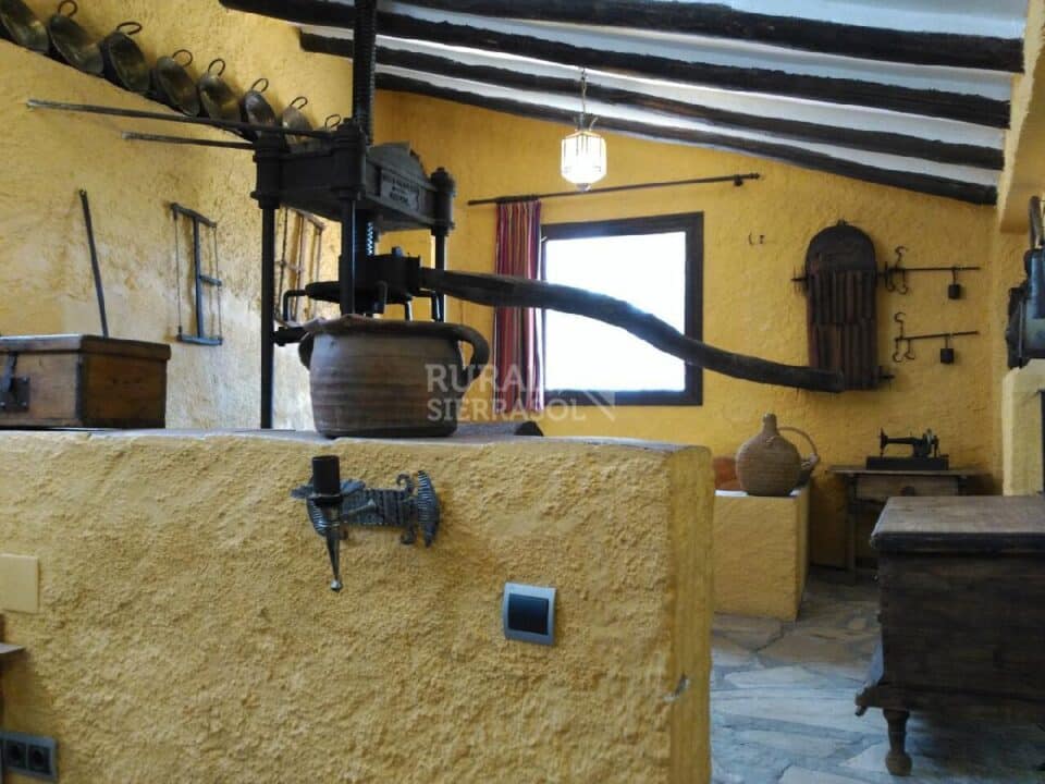 Salón decorado con aperos de labranza de Casa rural en Alcaucín (Málaga)-3699