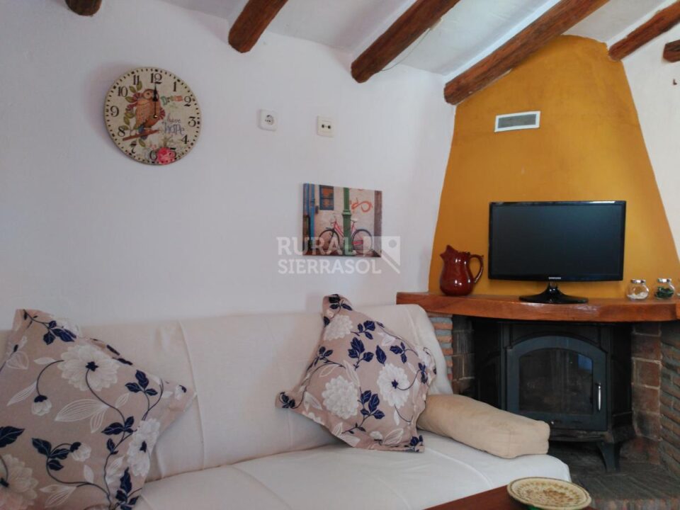 Chimenea y TV en Casa rural en Alcaucín (Málaga)-3701