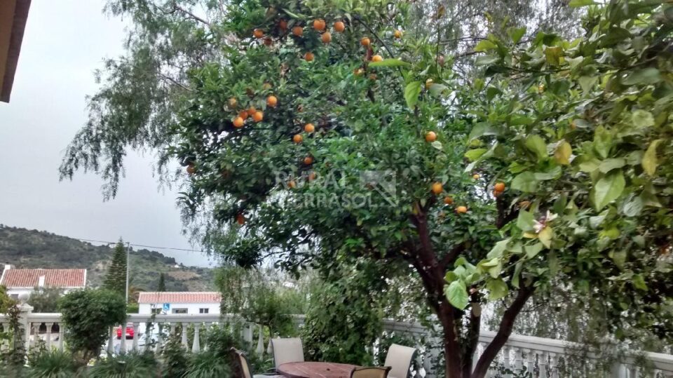 Preciosa Casa Rural en Casarabonela, con piscina, aire acondicionado y barbacoa - Imagen 30
