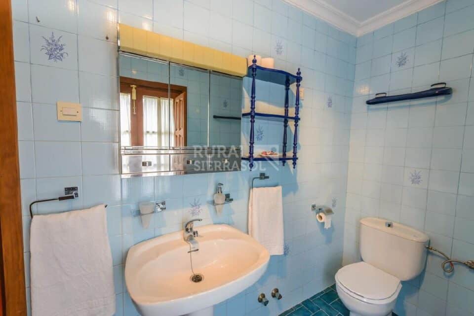 Baño de Casa rural en Alcaucín (Málaga)-3714