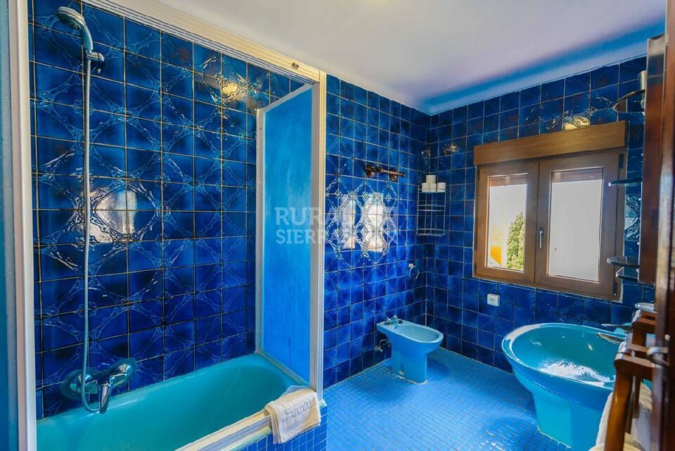 Baño con bañera de Casa rural en Alcaucín (Málaga)-3714