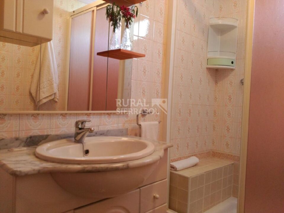 Lavabo de Casa rural en Alcaucín (Málaga)-3714