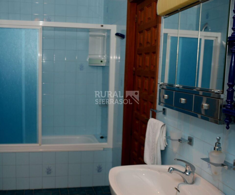 Baño azul en Casa rural en Alcaucín (Málaga)-3714