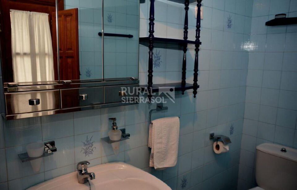 Lavabo y espejo de Casa rural en Alcaucín (Málaga)-3714