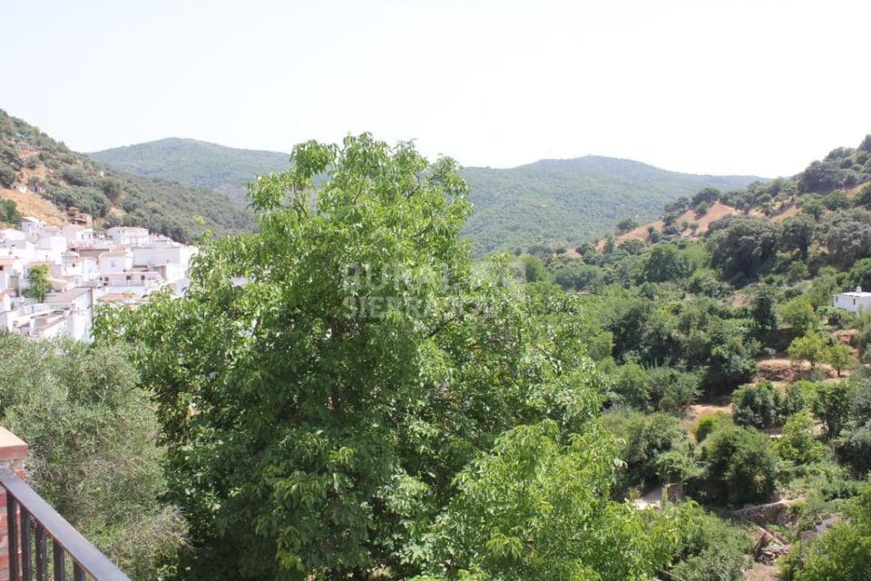 Maravillosa Casa Rural junto al Nacimiento del Río Genal, con piscina, chimenea y barbacoa - Imagen 19