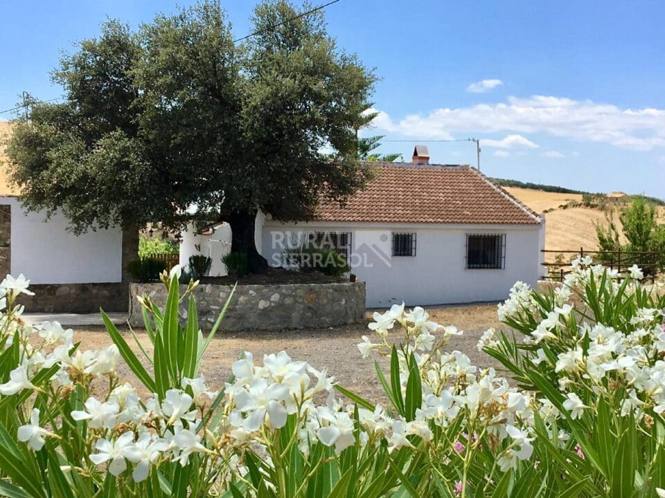 Acogedora Casa Rural al Sur del Torcal de Antequera, con piscina, chimenea y barbacoa - Imagen 2