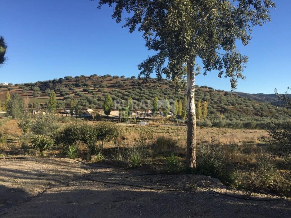 Precioso Hotel Rural en Colmenar, con bonitas vistas al campo - Imagen 38