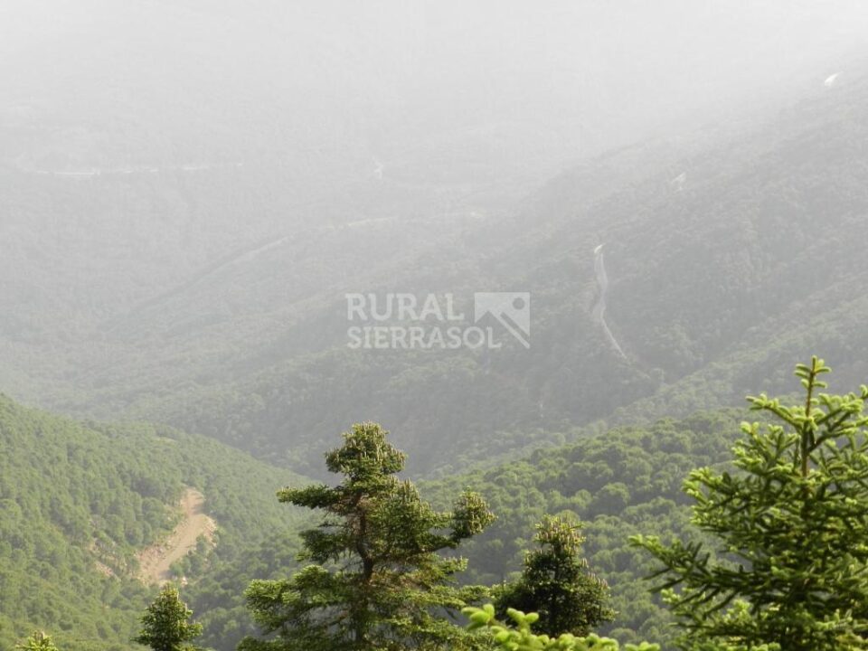 Apartamento Rural en Genalguacil, con estufa de leña - Imagen 38