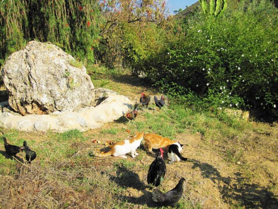 Conjunto de dos Viviendas Rurales en Tolox, con piscina, jacuzzi y wifi - Imagen 32