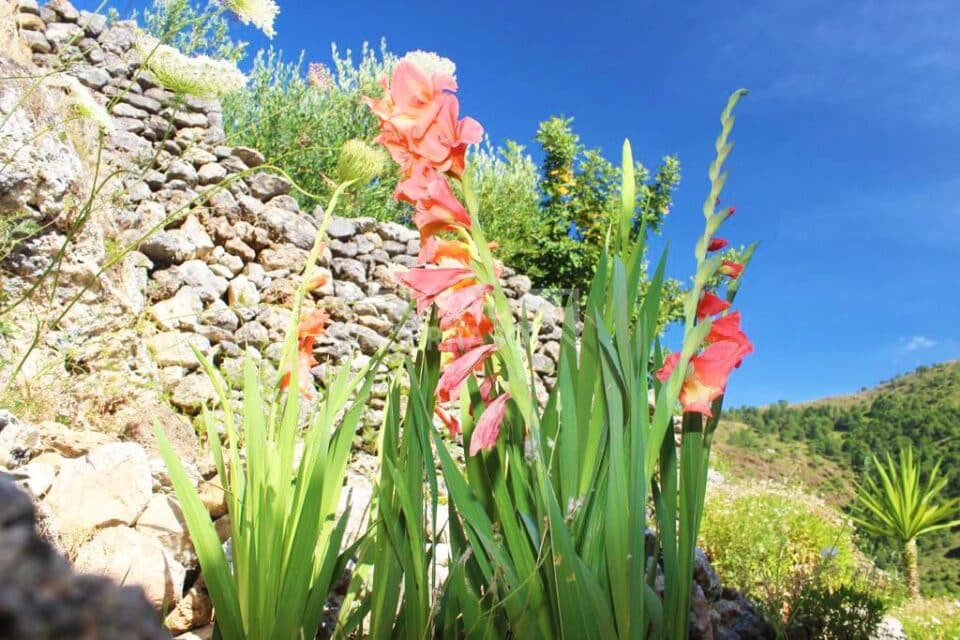 Acogedora Vivienda Rural en Tolox, con piscina, barbacoa y wifi - Imagen 14