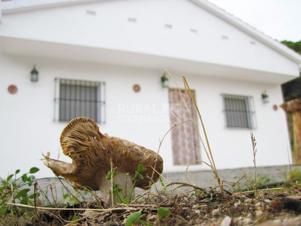 Acogedora Vivienda Rural en Tolox, con piscina, barbacoa y wifi - Imagen 24