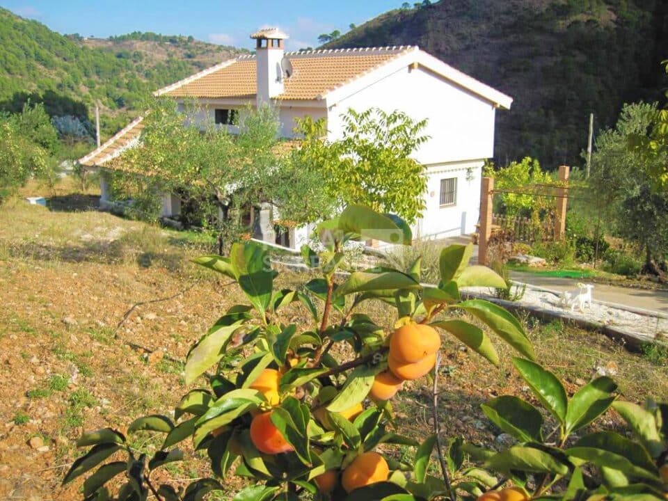Acogedora Vivienda Rural en Tolox, con piscina, barbacoa y wifi - Imagen 35