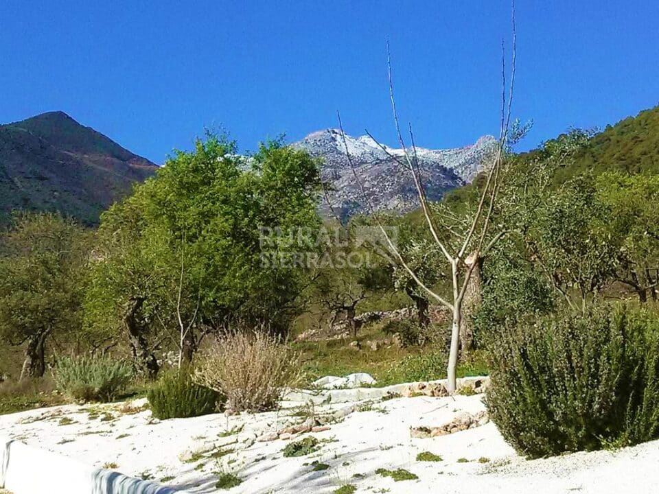 Acogedora Vivienda Rural en Tolox, con piscina, barbacoa y wifi - Imagen 41