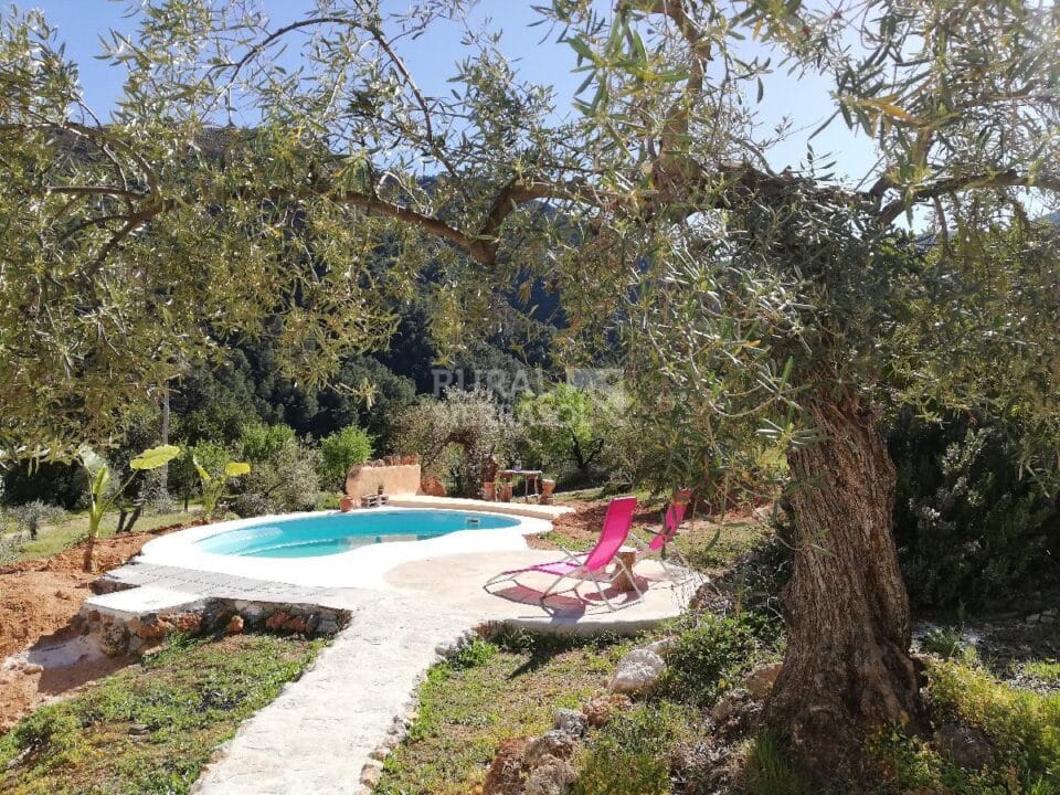 Acogedora Vivienda Rural en Tolox, con piscina, barbacoa y wifi - Imagen 46