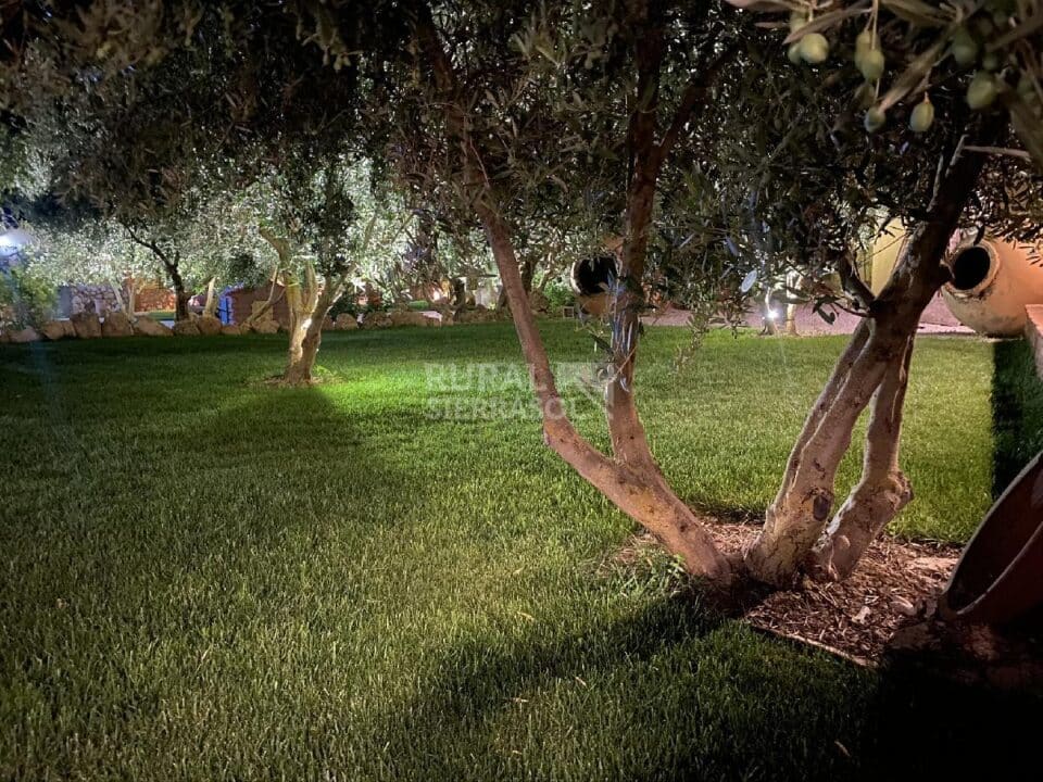 Cortijo Andaluz en Baza, con piscina y amplios jardines - Imagen 67