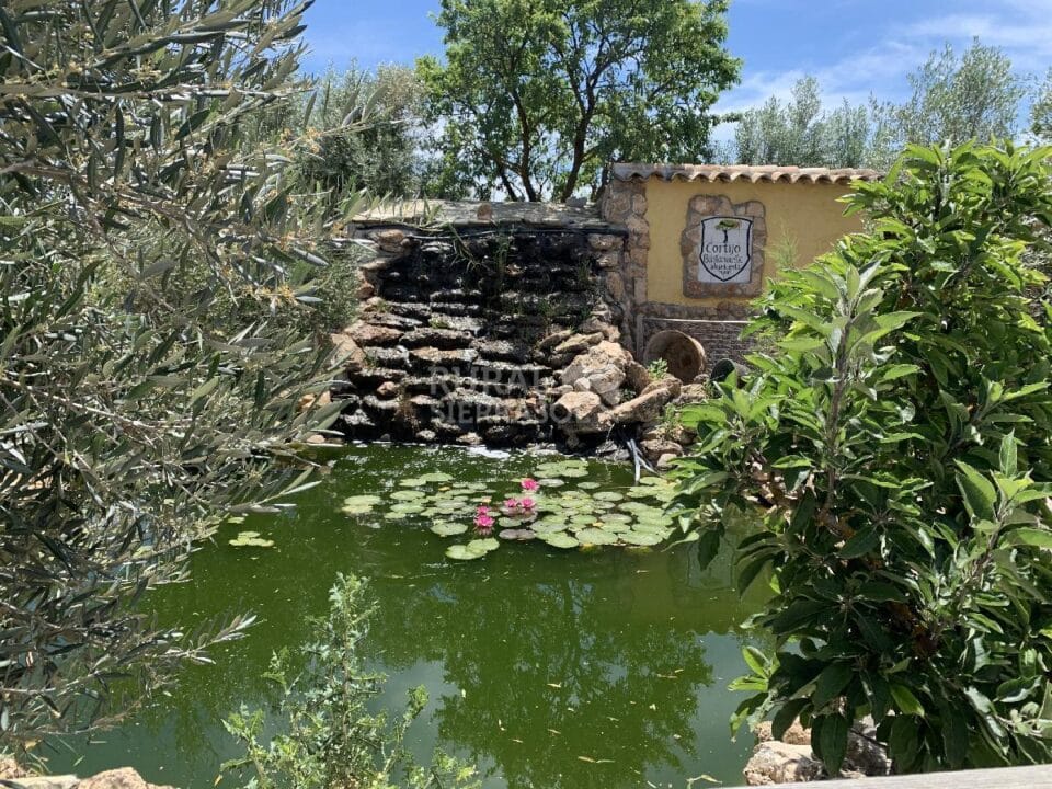 Cortijo Andaluz en Baza, con piscina y amplios jardines - Imagen 105