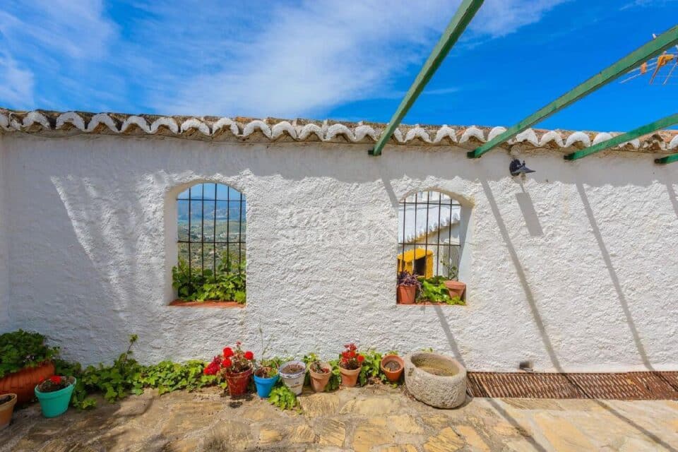 Terraza con macetas de Casa rural en Alcaucín (Málaga)-3864