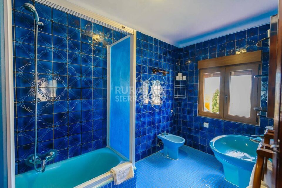 Baño de color azul de Casa rural en Alcaucín (Málaga)-3864